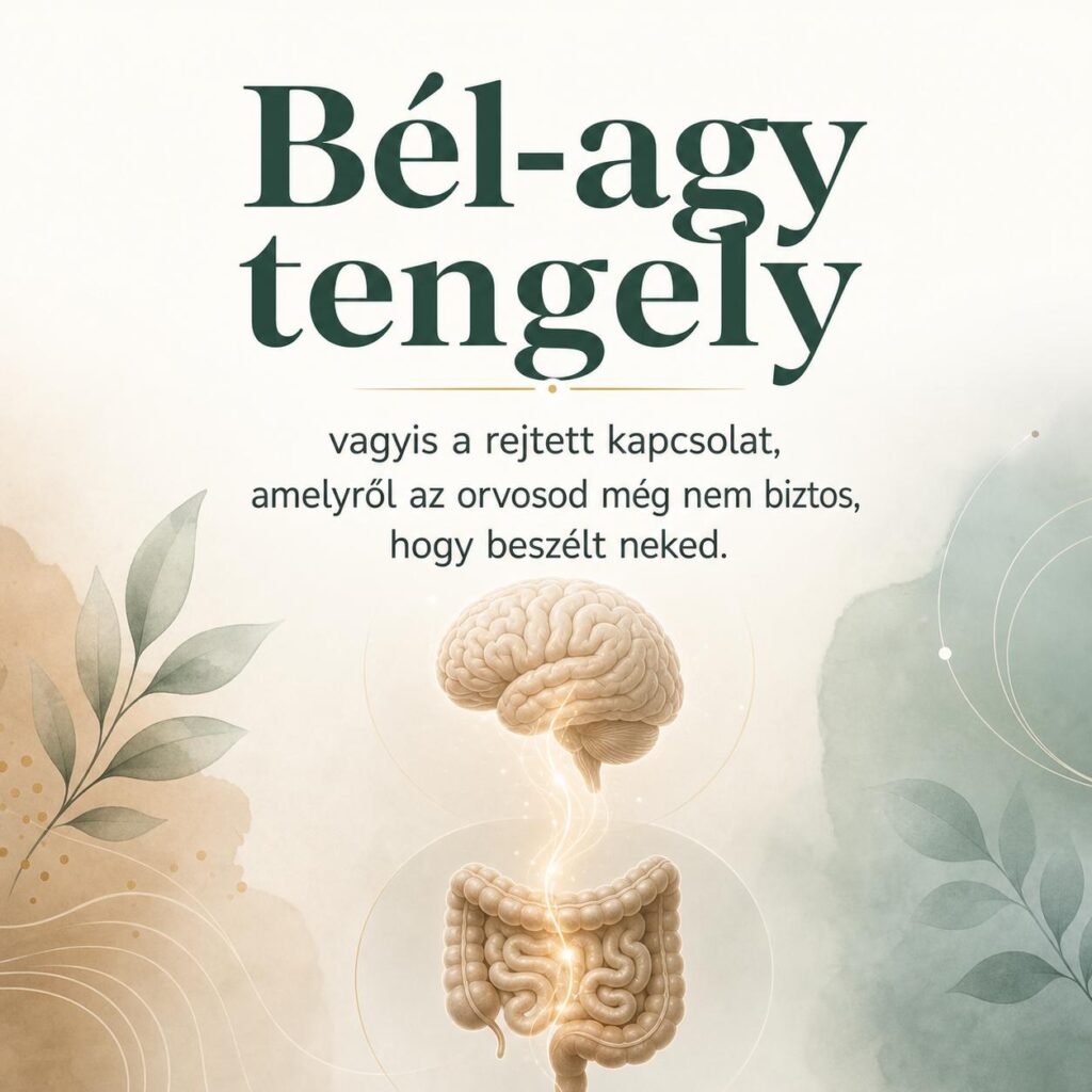 Bél-agy tengely, vagyis a rejtett kapcsolat, amelyről az orvosod még nem biztos, hogy beszélt neked