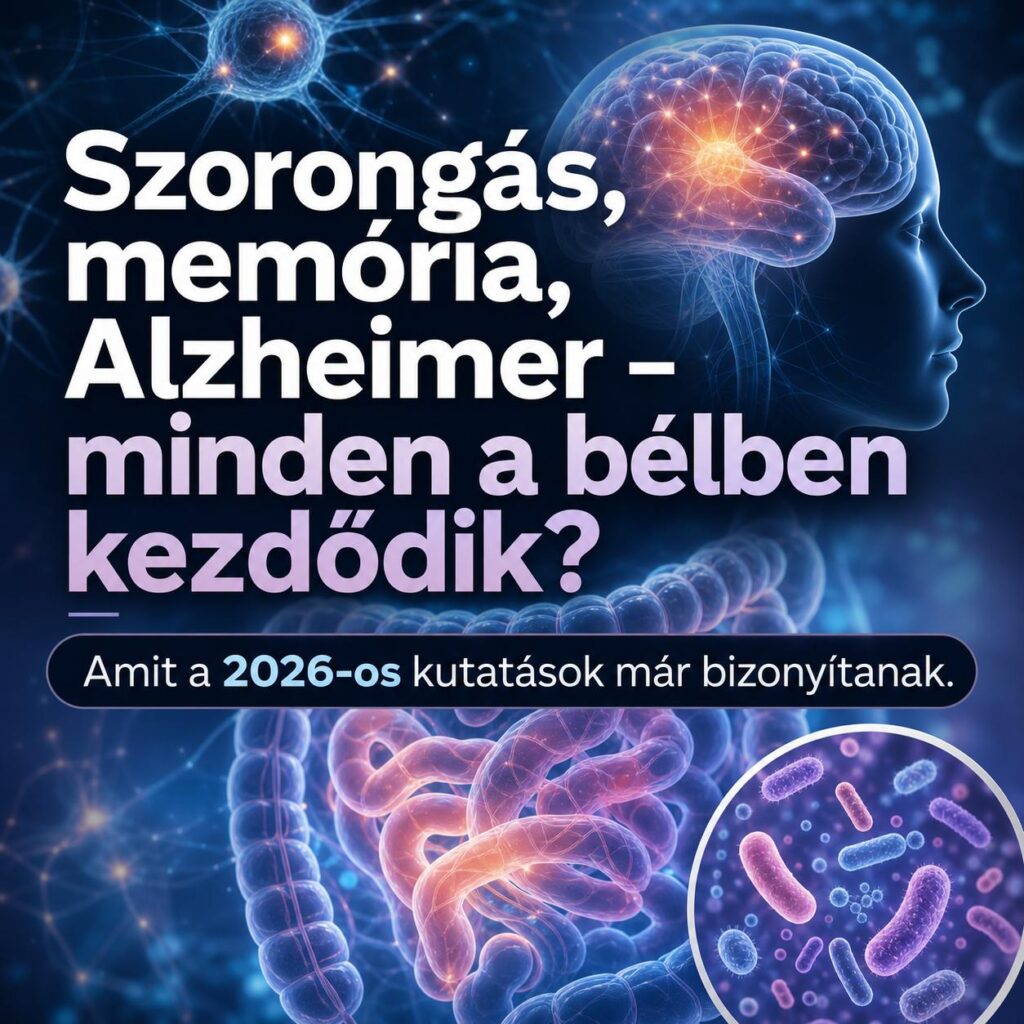 Szorongás, memória, Alzheimer – minden a bélben kezdődik? Amit a 2026-os kutatások már bizonyítanak