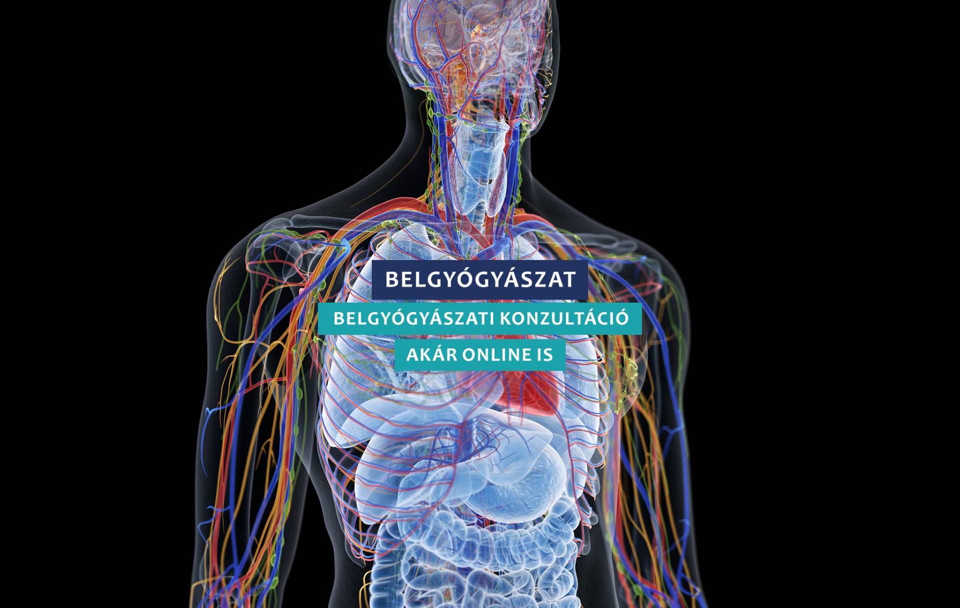 Belgyógyászat esztergom
